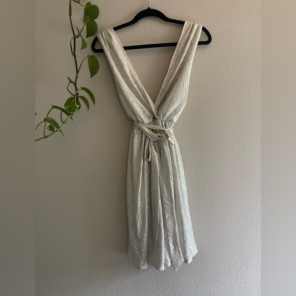 Silver dress